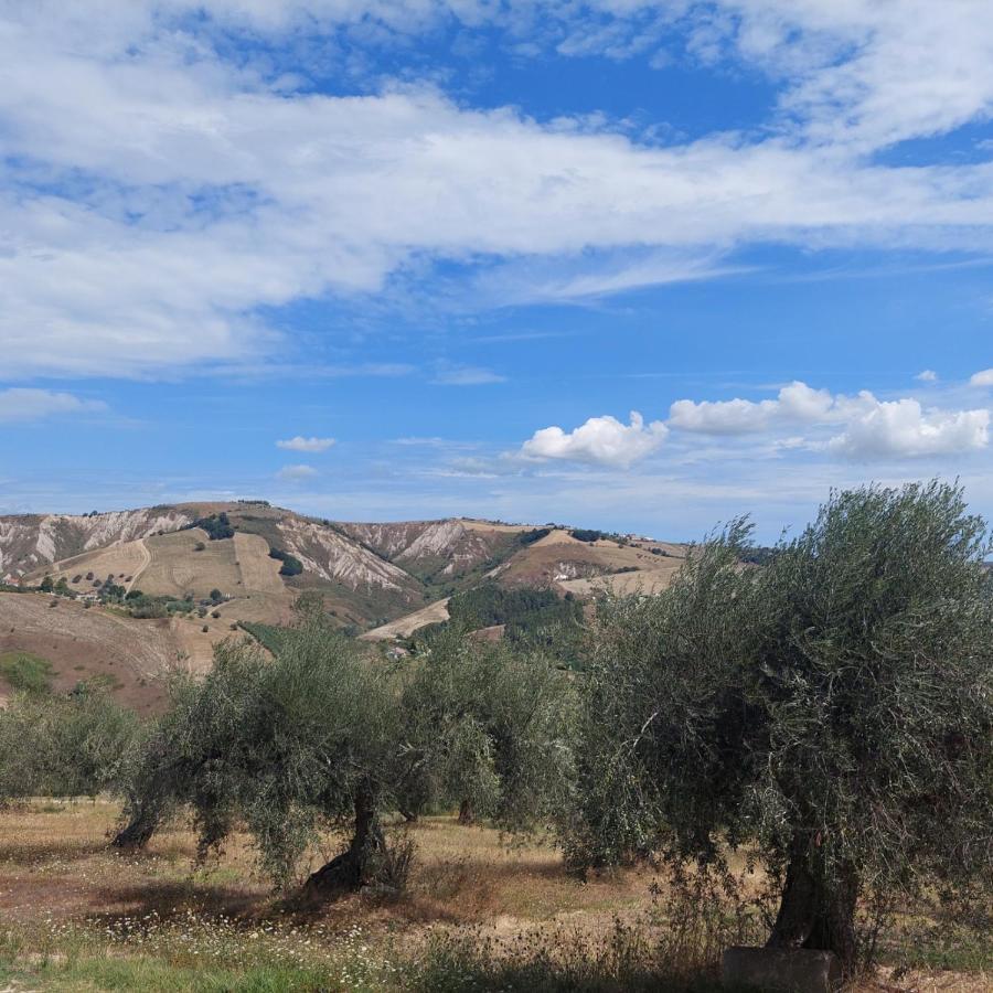Villa Ferranti Abruzzo Montefino 外观 照片