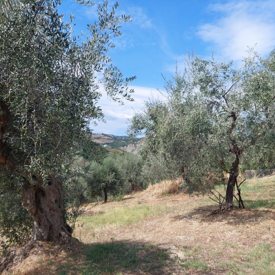Villa Ferranti Abruzzo Montefino 外观 照片